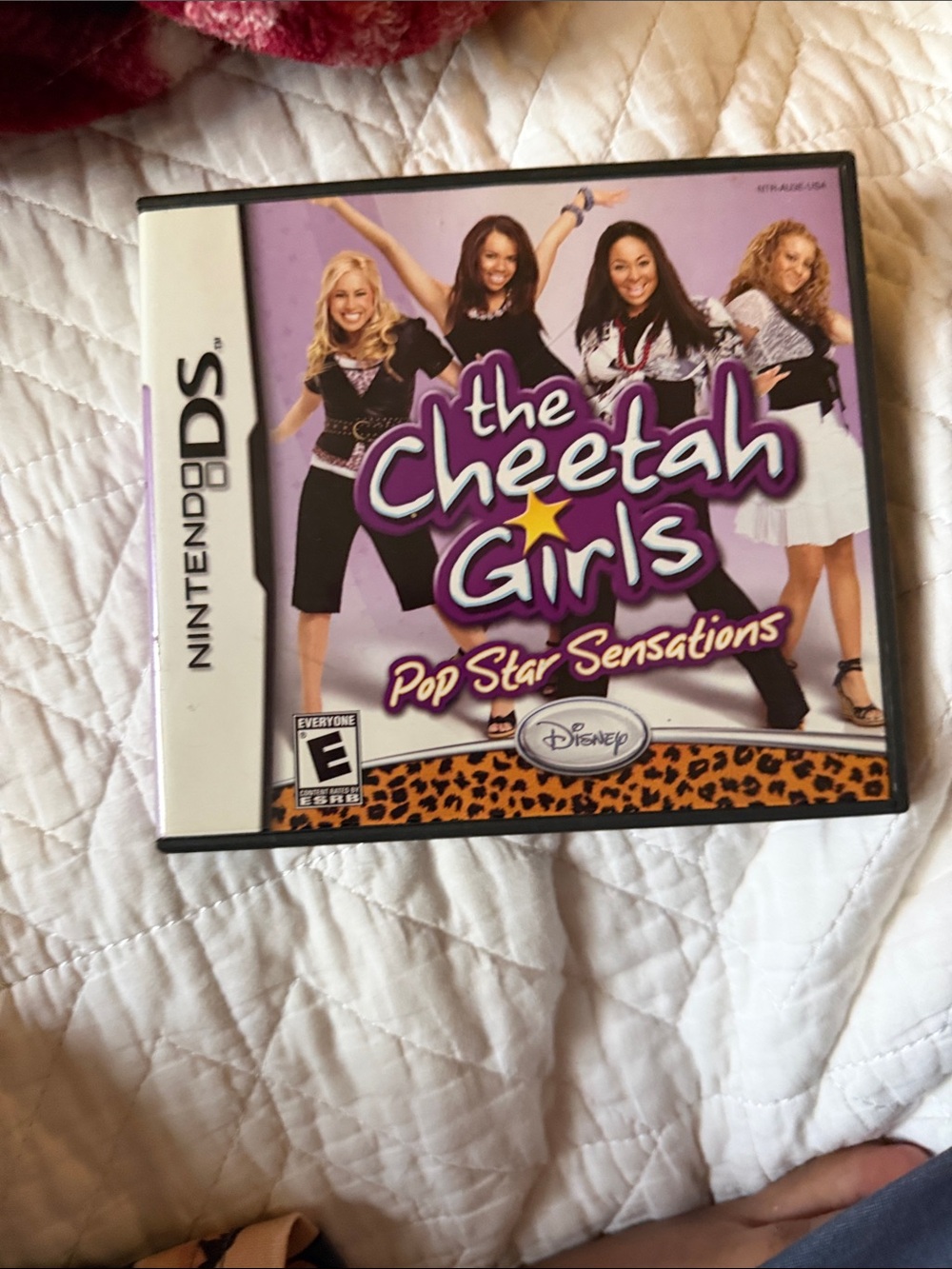 Nintendo DS The Cheetah Girls Pop Star Sensations - Purple & White Cover